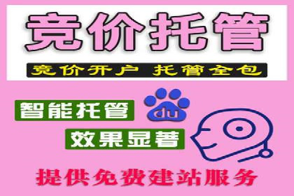 搜索引擎营销（SEM）的精准投放技巧案例