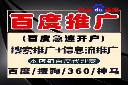 搜索引擎营销（SEM）的推广优化技巧——案例研究